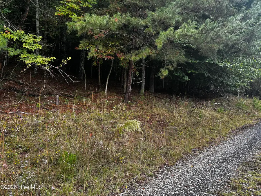 Lot 6 Joyce Road, Murphy, NC 28906 - #2