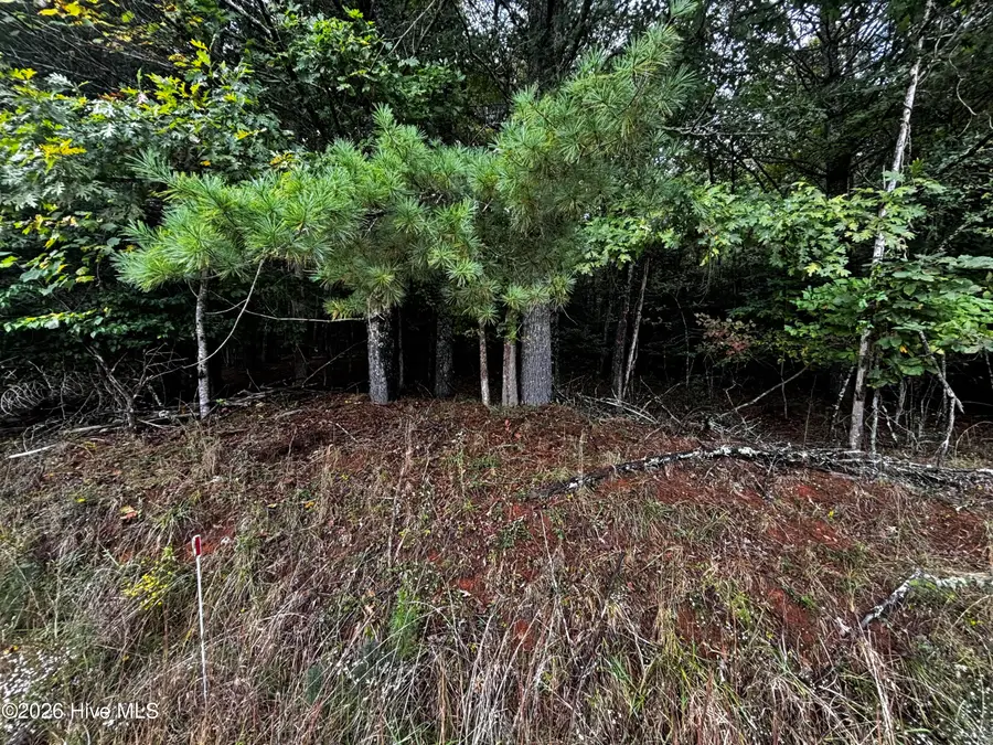 Lot 6 Joyce Road, Murphy, NC 28906 - #3