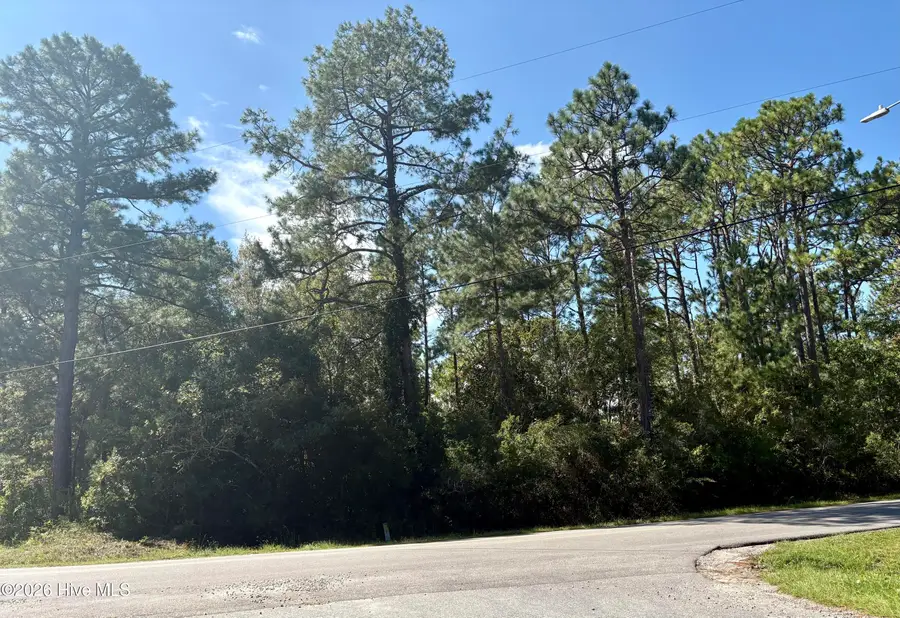 L-80/81 Nassau Road, Boiling Spring Lakes, NC 28461 - #2
