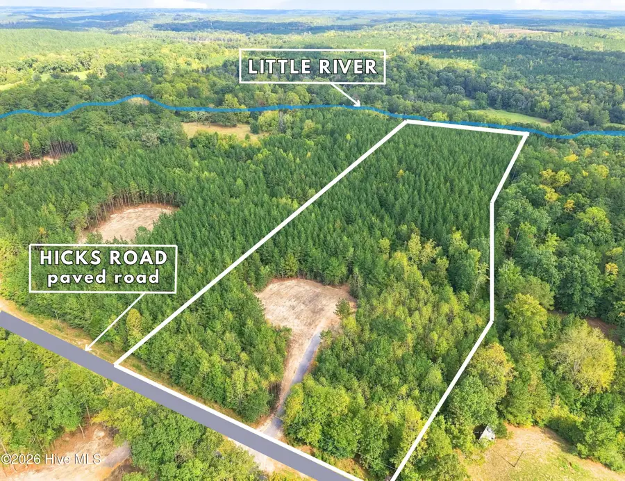 Lot 5 Capelsie Road, Candor, NC 27229 - #2