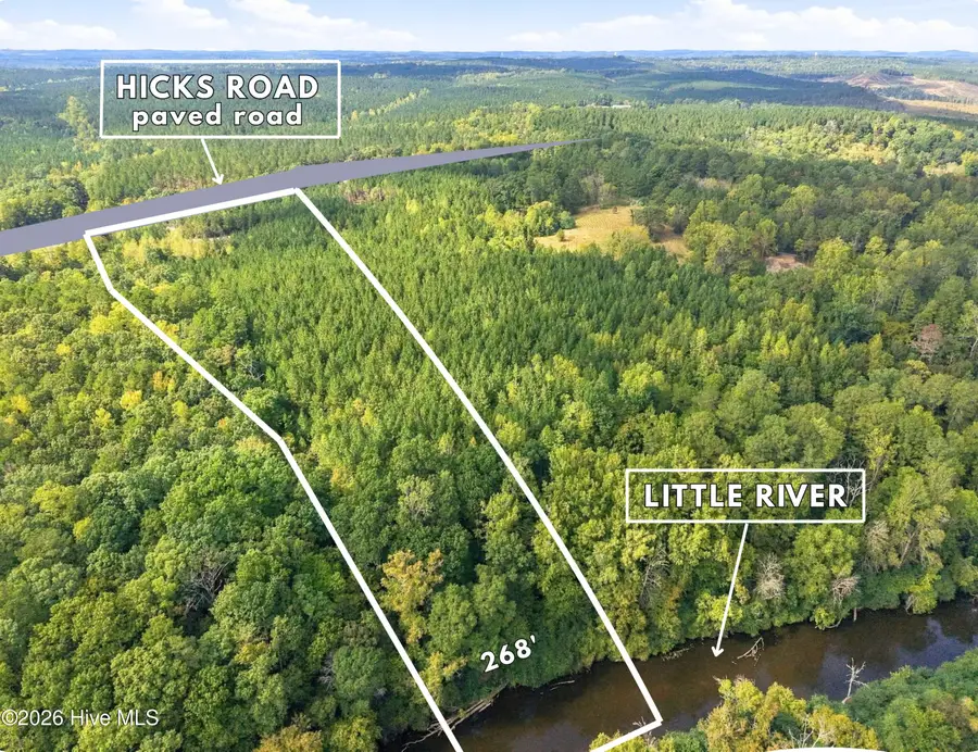 Lot 5 Capelsie Road, Candor, NC 27229 - #3