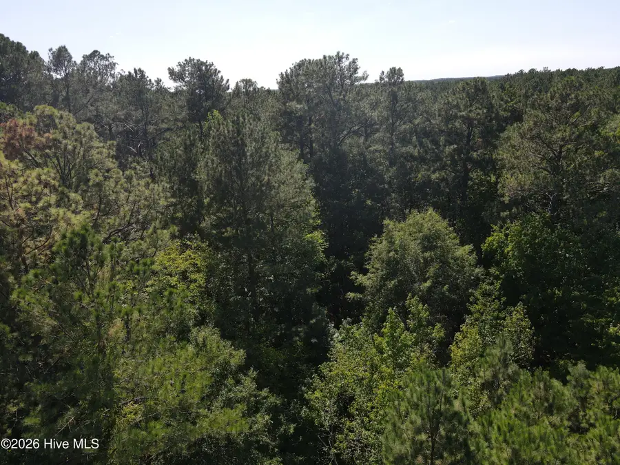 Tbd Nc 305, Jackson, NC 27845 - #2