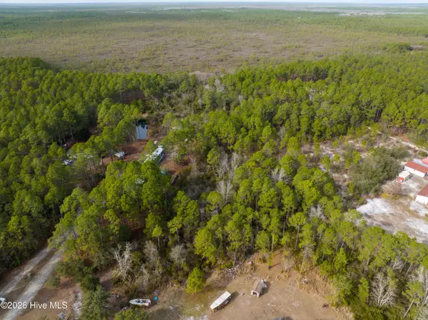 Tbd Double Oaks Drive, Hampstead, NC 28443