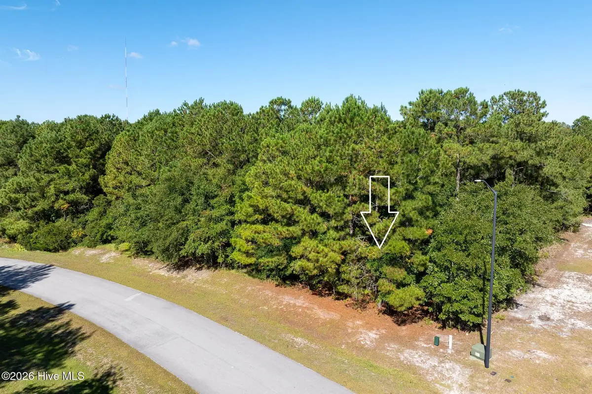 145 Royal Palms Way, Holly Ridge, NC 28445 - #1
