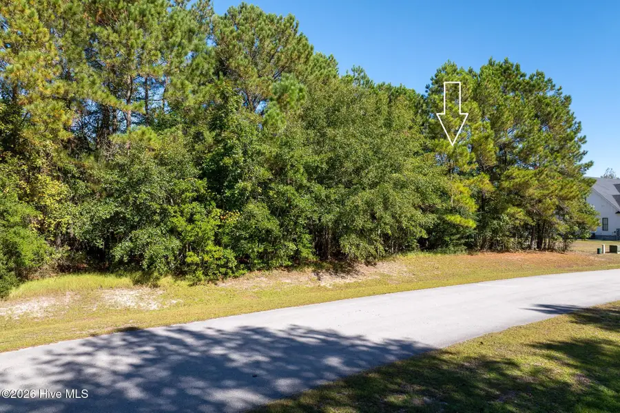 145 Royal Palms Way, Holly Ridge, NC 28445 - #3