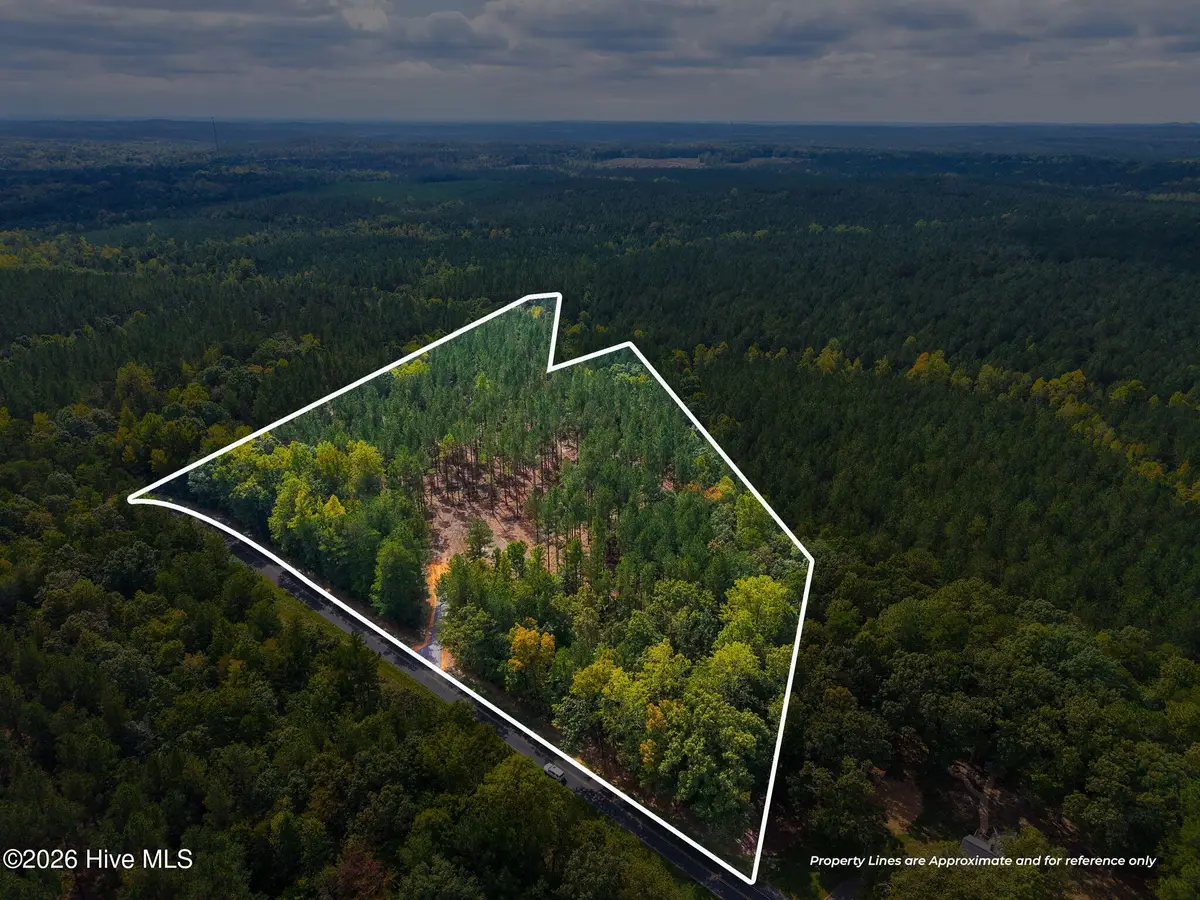 Lot 1 Capelsie Road, Candor, NC 27229 - #1