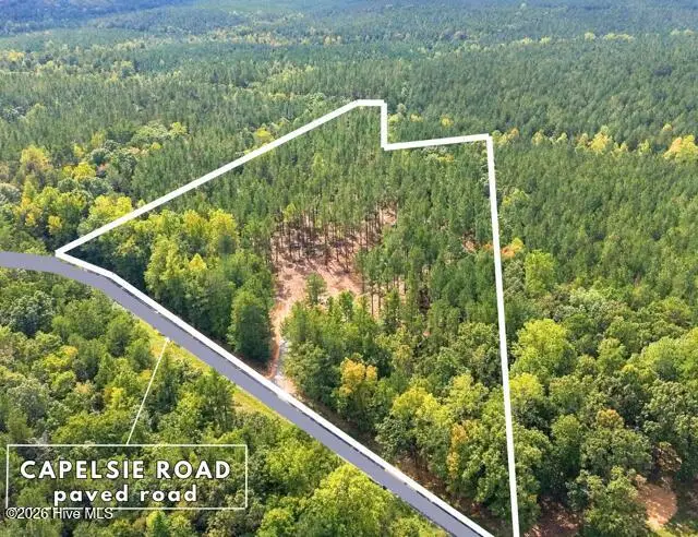 Lot 1 Capelsie Road, Candor, NC 27229 - #2