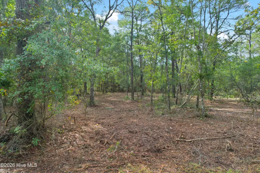 1873 Shelba Street Sw, Supply, NC 28462 - #3