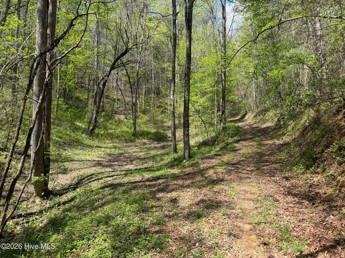 17.96 Lower Vengeance Creek Road, Marble, NC 28905 - #1
