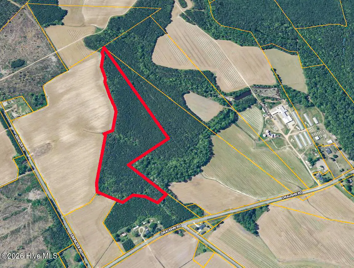 3053 Draughn Road, Tarboro, NC 27886 - #1