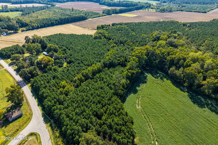 3053 Draughn Road, Tarboro, NC 27886 - #2