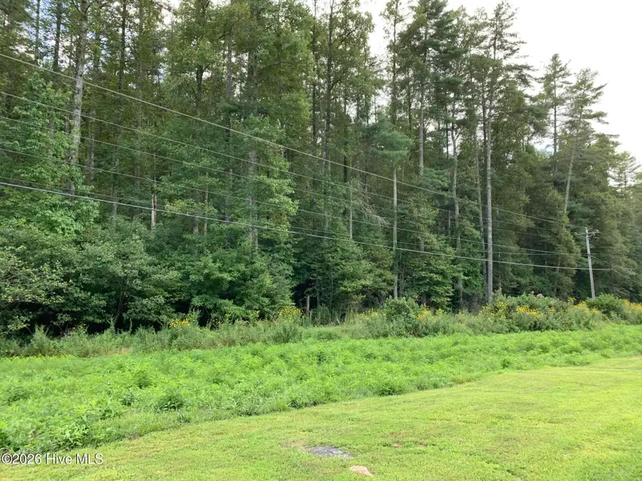 2.87 Ac Hedden Road, Murphy, NC 28906 - #2