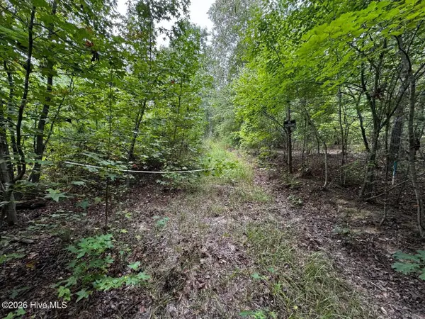 00 Gabe Rd, Saluda, SC 29138