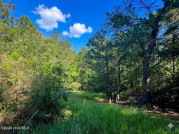 0 White Oak River Road, Maysville, NC 28555