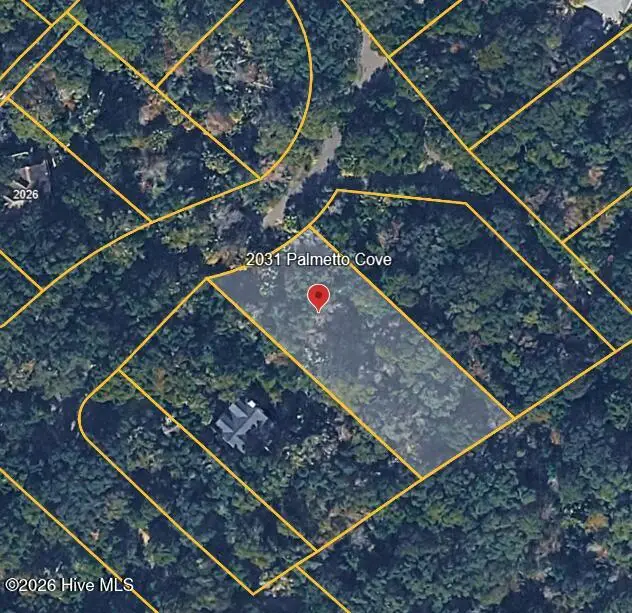 2031 Palmetto Cove Court, Bald Head Island, NC 28461 - #2