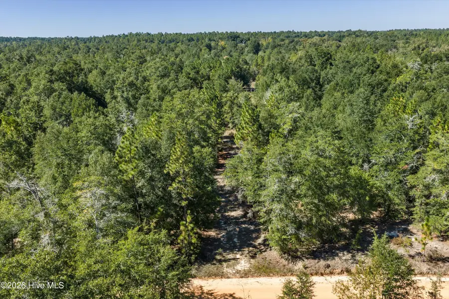 000.0 Mary Rawls Road, Wagener, SC 29164 - #3
