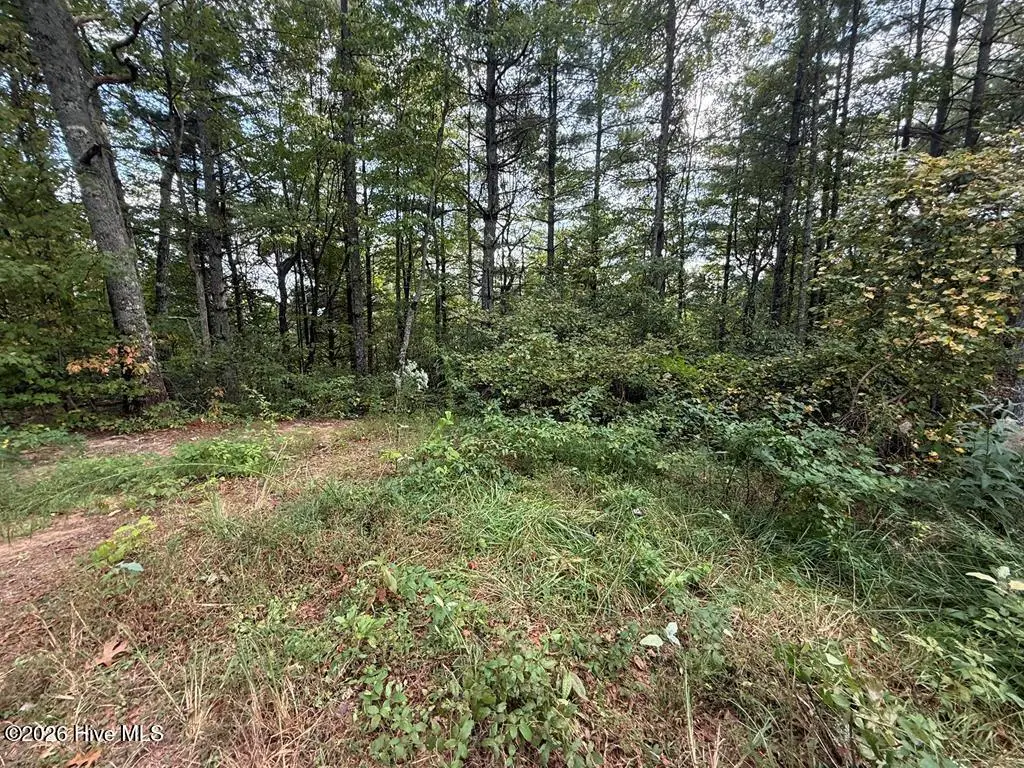 183 Mundy Road, Marble, NC 28905 - #1