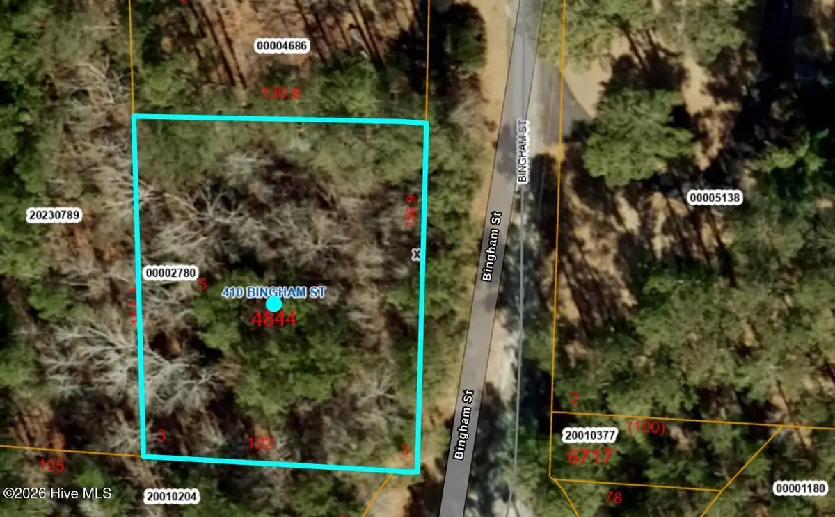 410 Bingham Street, Carthage, NC 28327 - #1