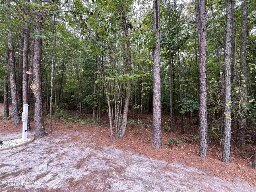 410 Bingham Street, Carthage, NC 28327 - #2