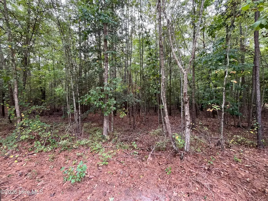 410 Bingham Street, Carthage, NC 28327 - #3