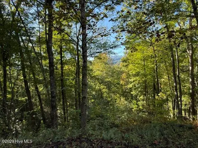 Lot 73 Turkey Walk Drive, Marble, NC 28905 - #3
