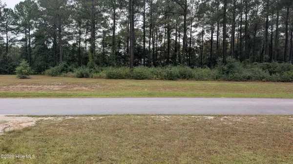 244 Gus Horne Road, Holly Ridge, NC 28445