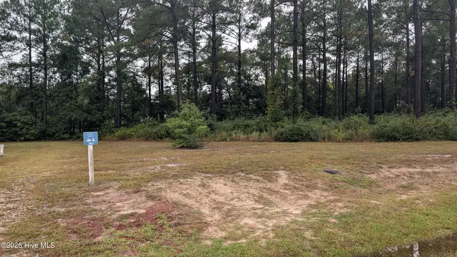 244 Gus Horne Road, Holly Ridge, NC 28445 - #2