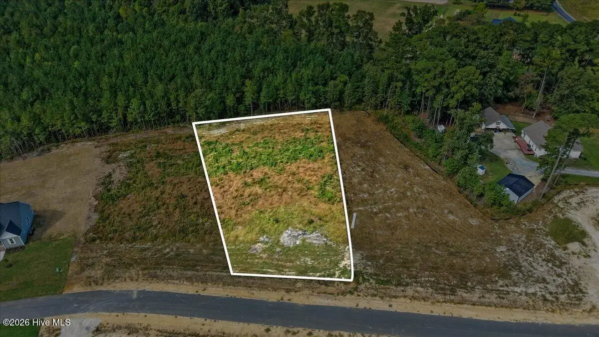 128 Hillstead Way, Smithfield, NC 27577 - #1