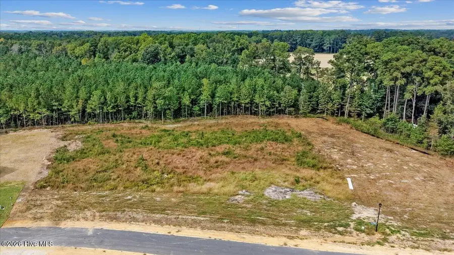 128 Hillstead Way, Smithfield, NC 27577 - #2