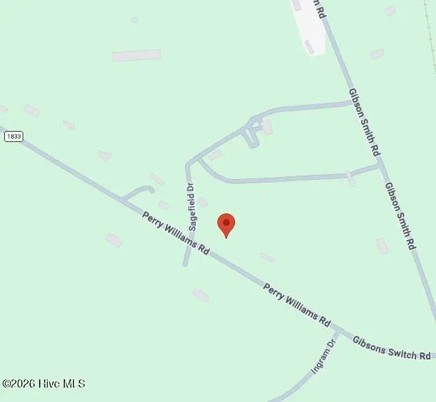 319 Perry Williams Road, Hamlet, NC 28345 - #2