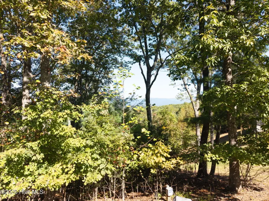 310 Skyland Trail, Murphy, NC 28906 - #3