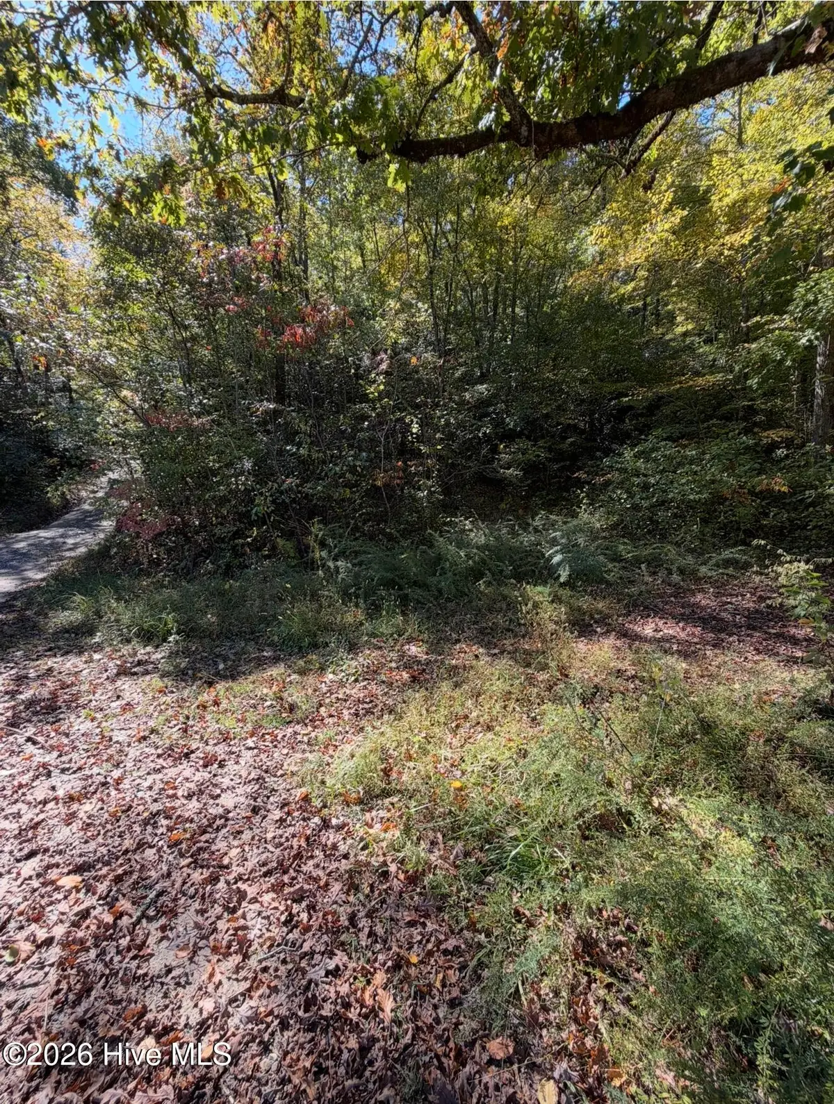 2290 Healy Fields Road, Andrews, NC 28901 - #1