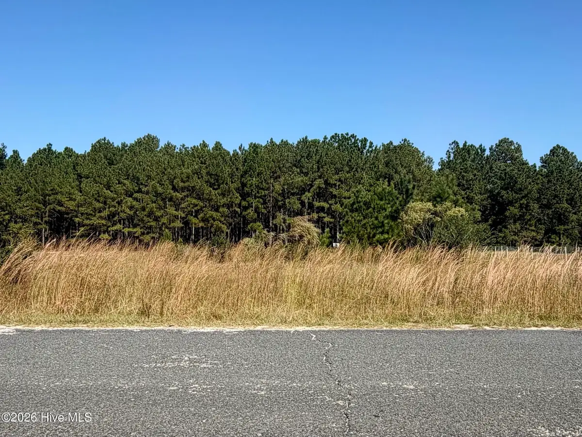 50 Maple Leaf Drive, Saint Pauls, NC 28384 - #1