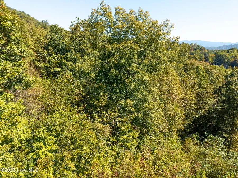 164 Big Sky Drive, Murphy, NC 28906 - #3