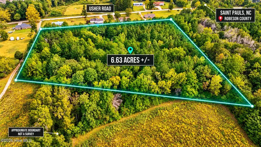 0 Usher Road, Saint Pauls, NC 28384 - #2