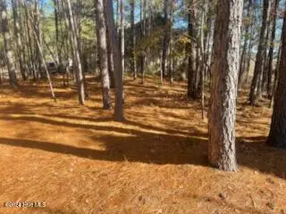 847 Seagull Drive, Vass, NC 28394 - #2
