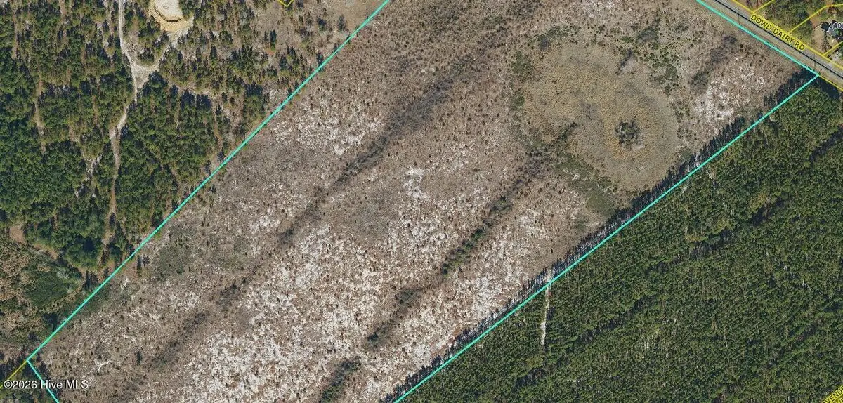 Tbd Dowd Dairy Road, White Oak, NC 28399 - #1