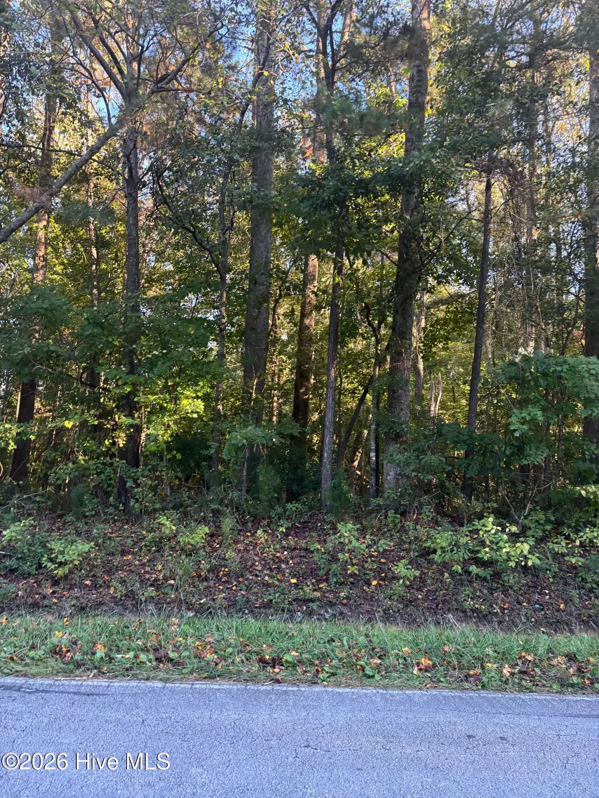 415 Old Pollocksville Road, New Bern, NC 28562 - #1