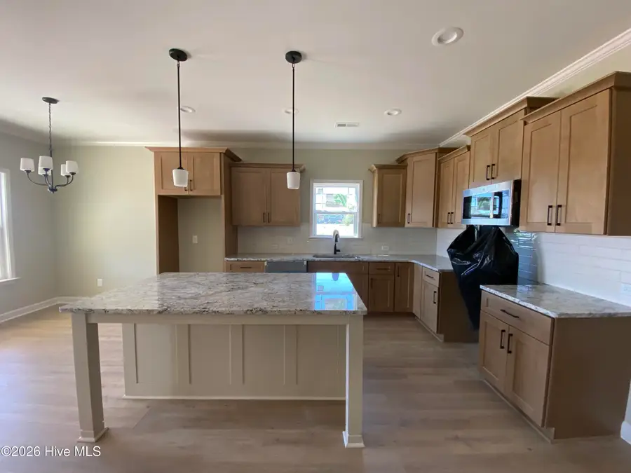 132 James Price Road, Seven Springs, NC 28578 - #3