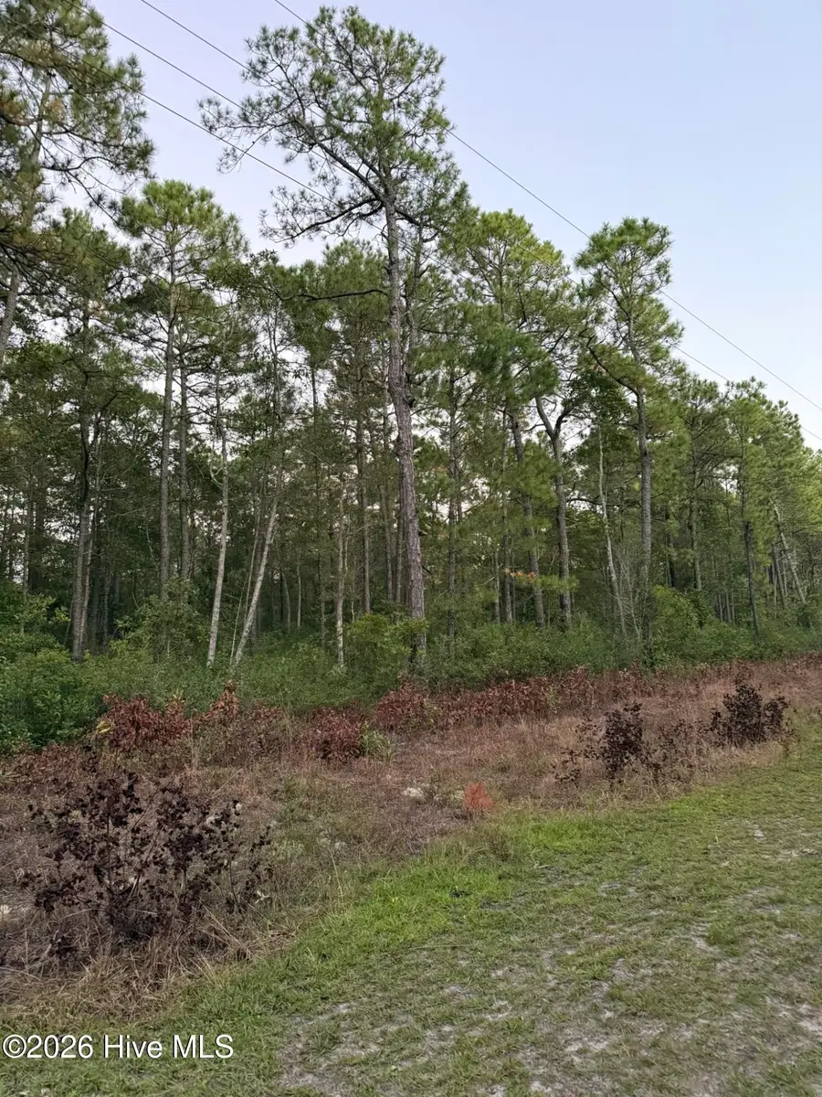 1603 Breezeway Drive Sw, Ocean Isle Beach, NC 28469 - #2