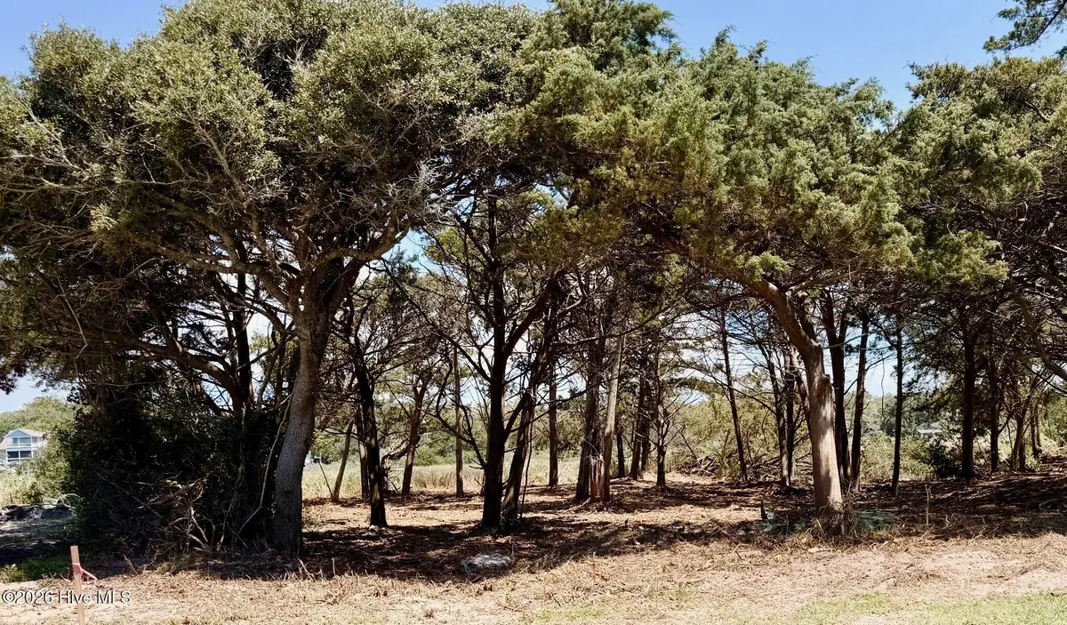 Lot 9 W Pelican Drive, Oak Island, NC 28465 - #1