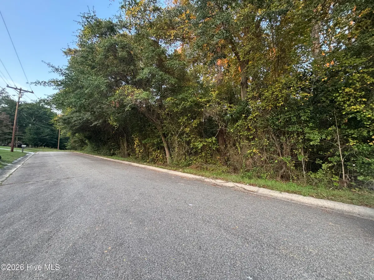 Tbd Mckinnon Road, Rockingham, NC 28379 - #1