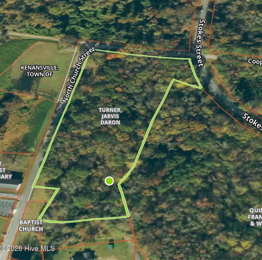 4 Ac N Church Street, Kenansville, NC 28349 - #2