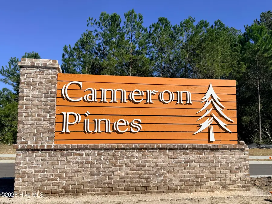 870 Pinyon Loop Sw #Lot 28, Ocean Isle Beach, NC 28469 - #3
