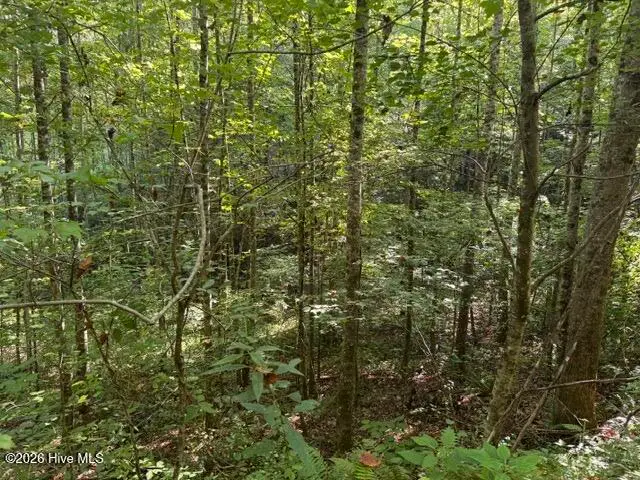 3 Tyler Lane, Marble, NC 28905 - #1
