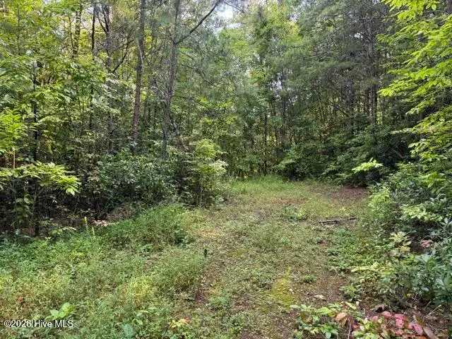 3 Tyler Lane, Marble, NC 28905 - #2