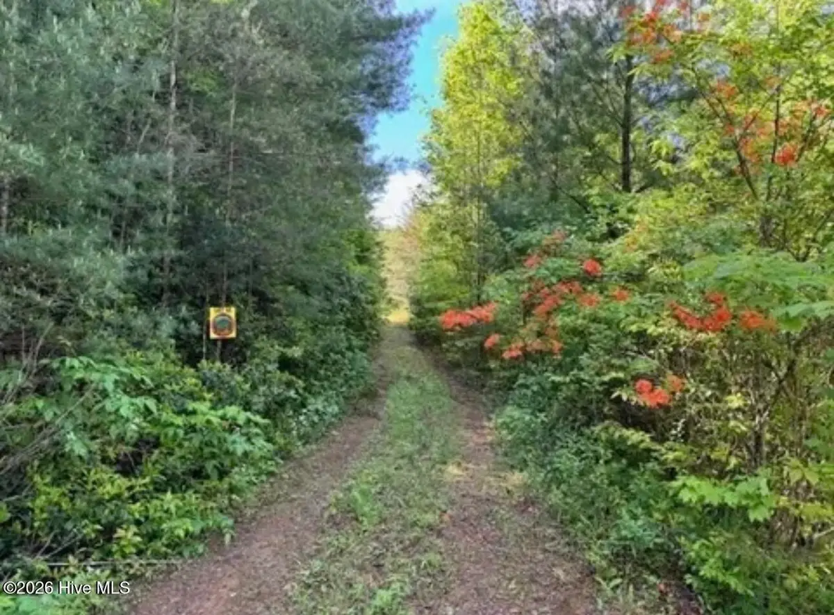 14 Tyler Lane, Marble, NC 28905 - #1
