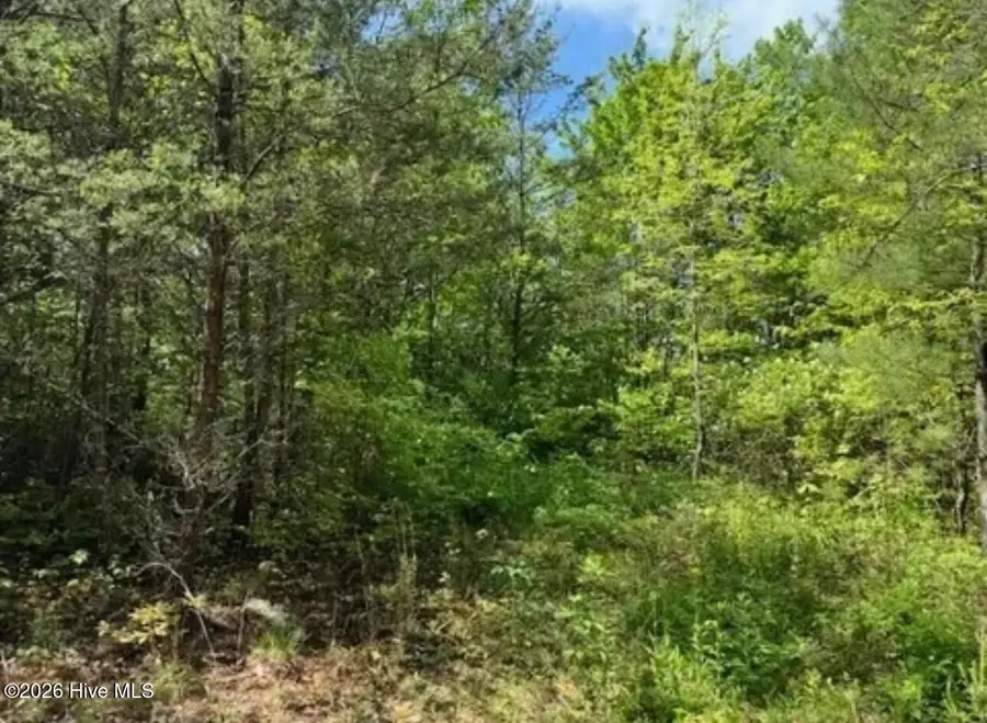 14 Tyler Lane, Marble, NC 28905 - #2