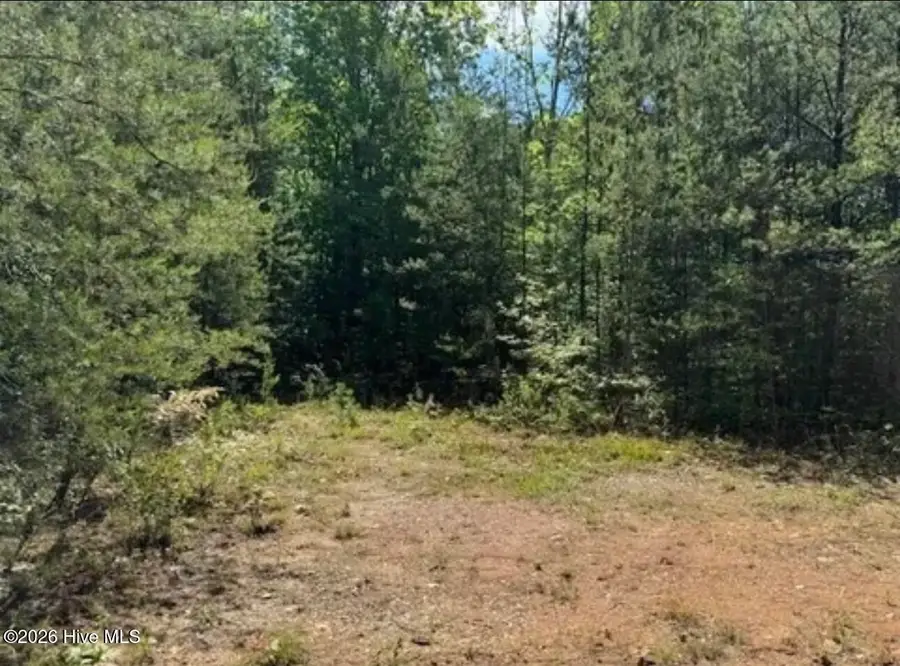 14 Tyler Lane, Marble, NC 28905 - #3
