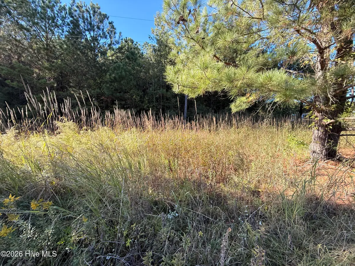 3840 Ellis Drive, Farmville, NC 27828 - #1